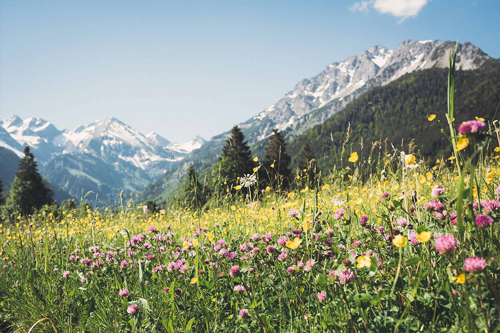 Ausblick von Yoga Shala