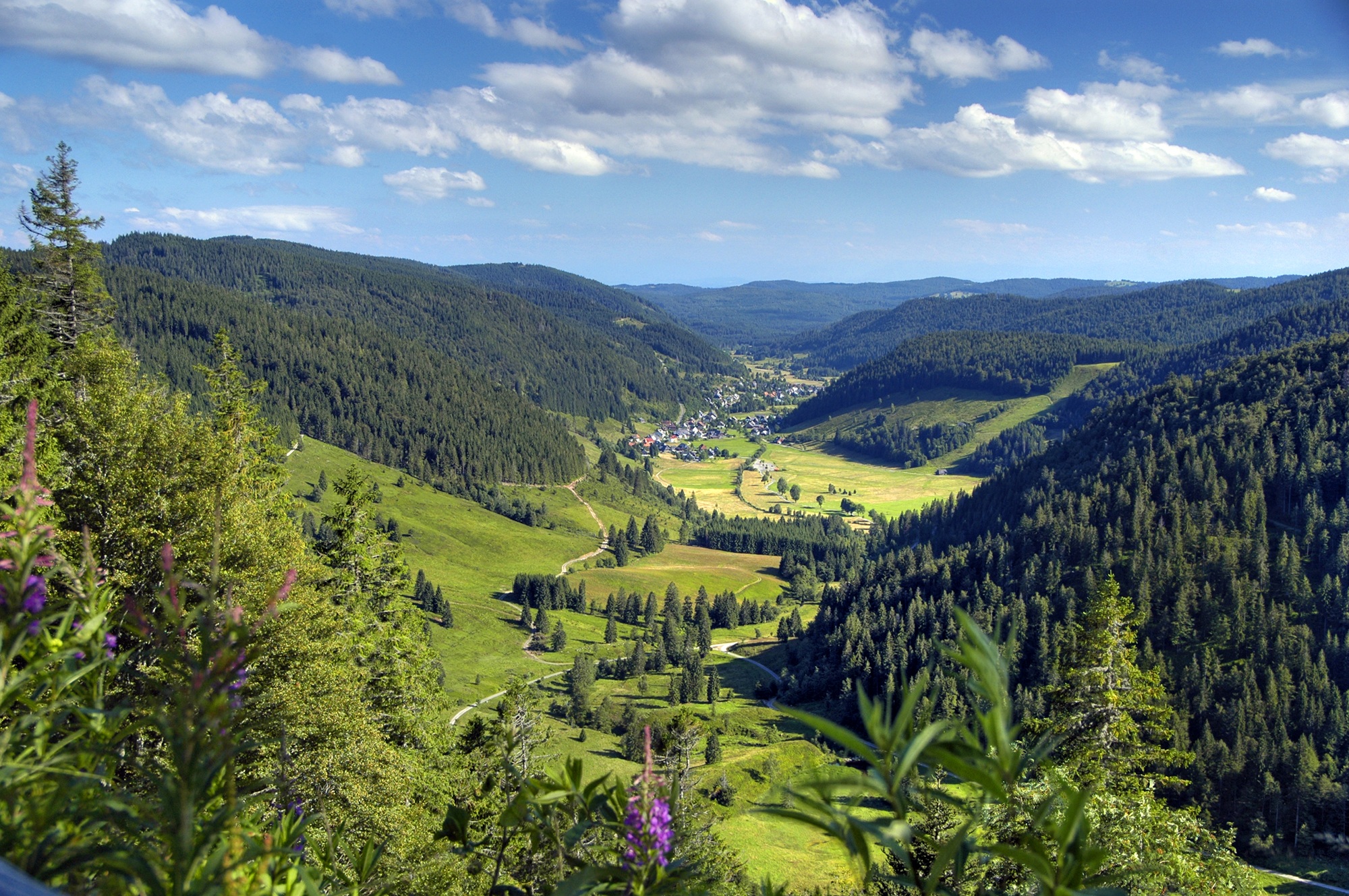 Ausblick von Yoga Shala